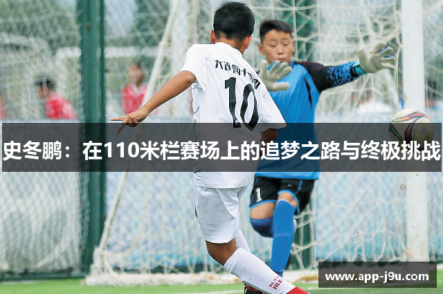 史冬鹏:在110米栏赛场上的追梦之路与终极挑战 史冬鹏:在110米栏赛场上的追梦之路与终极挑战