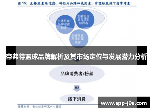 帝弗特篮球品牌解析及其市场定位与发展潜力分析 帝弗特篮球品牌解析及其市场定位与发展潜力分析