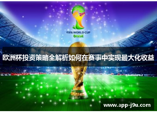 欧洲杯投资策略全解析如何在赛事中实现最大化收益