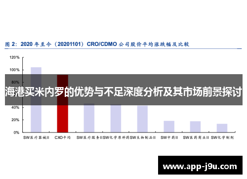 海港买米内罗的优势与不足深度分析及其市场前景探讨