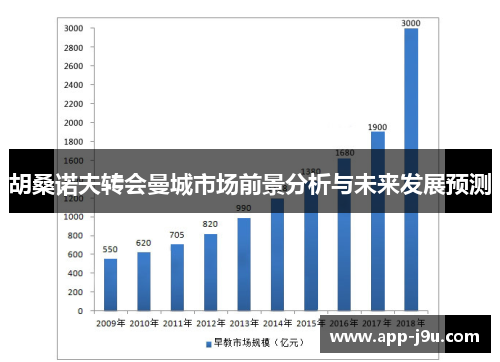 胡桑诺夫转会曼城市场前景分析与未来发展预测