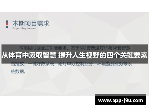 从体育中汲取智慧 提升人生视野的四个关键要素