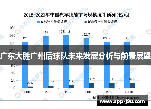 广东大胜广州后球队未来发展分析与前景展望