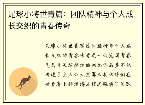 足球小将世青篇：团队精神与个人成长交织的青春传奇
